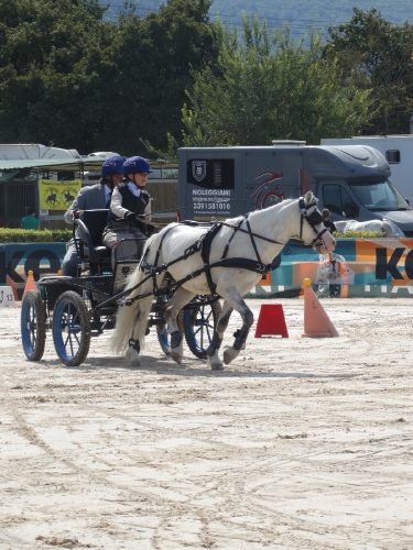image00033