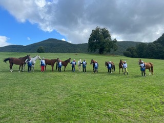 coppa delle regioni endurance 2024