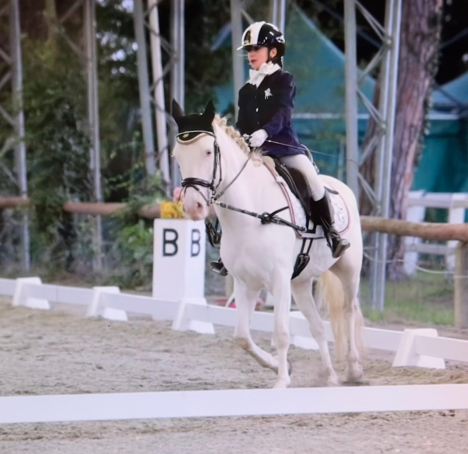 COPPA REGIONI DRESSAGE 2023