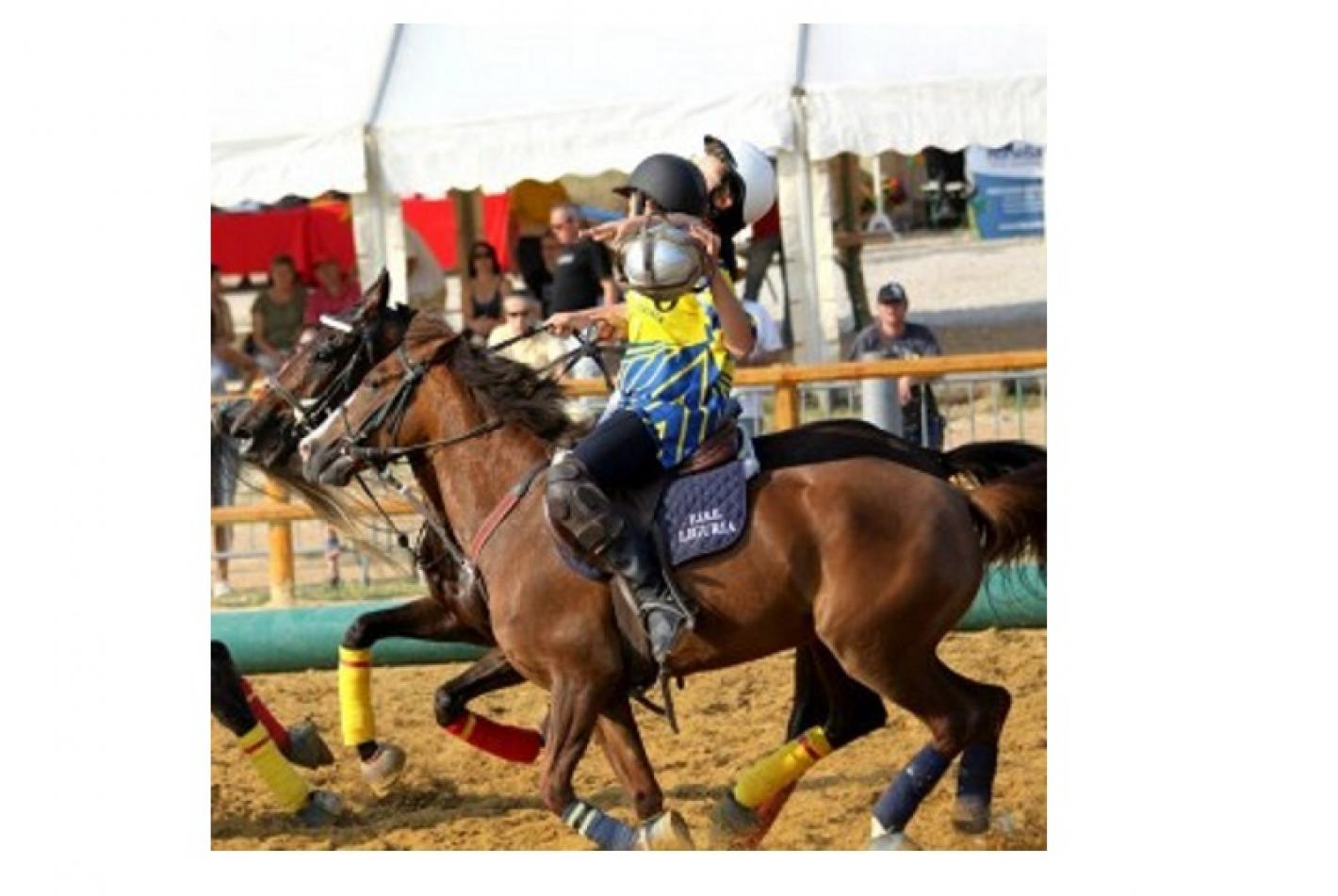 images/liguria/Horseball/medium/Hrsball.jpg