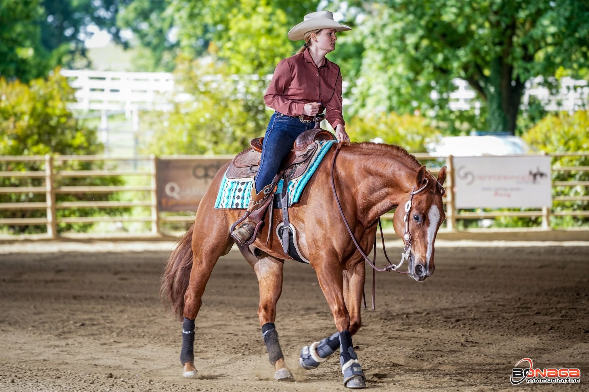 reining 2026