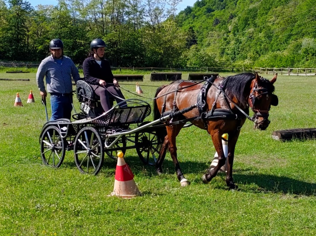foto stage federale attacchi abbazia 2026