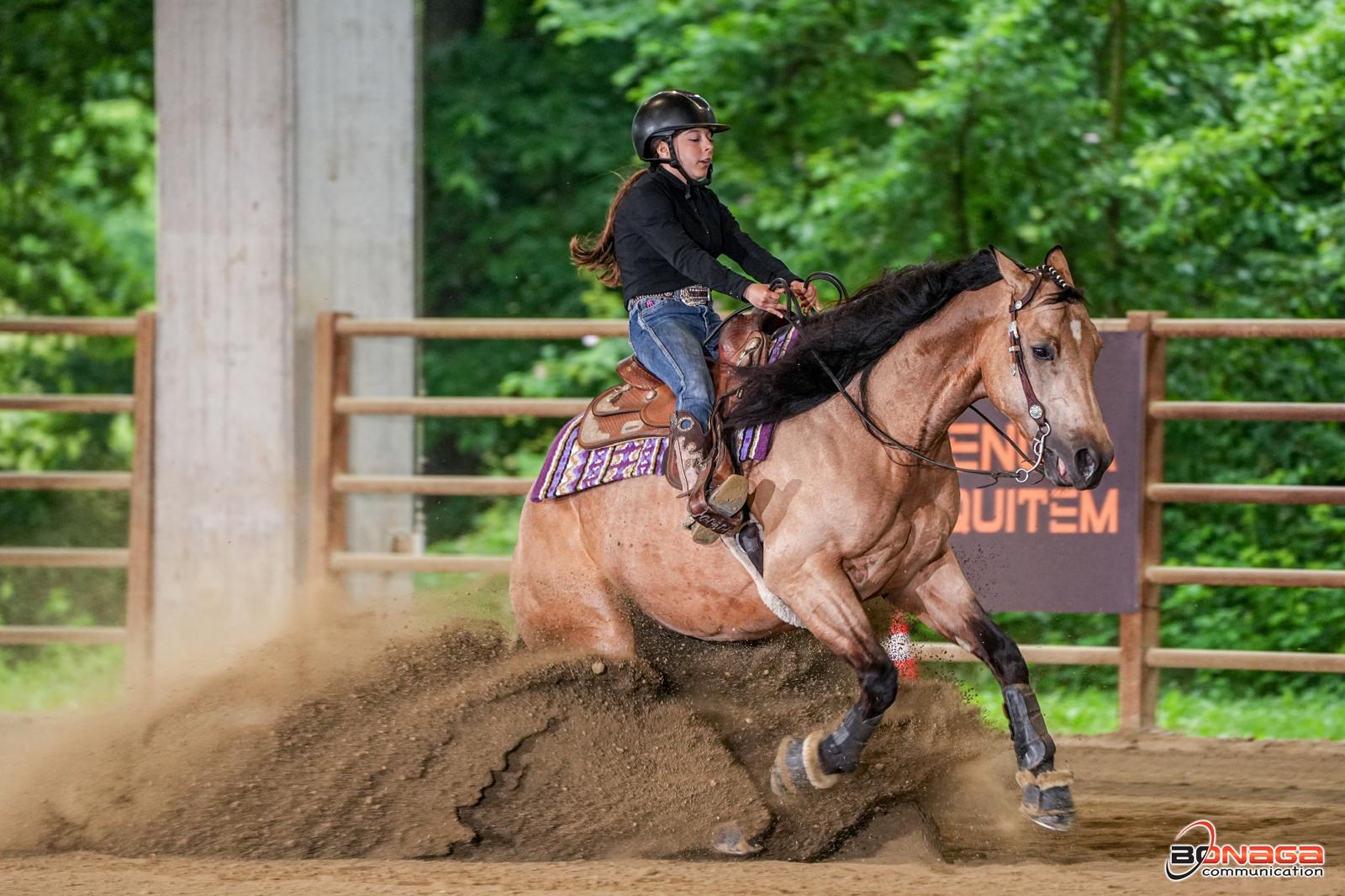 reining 2026