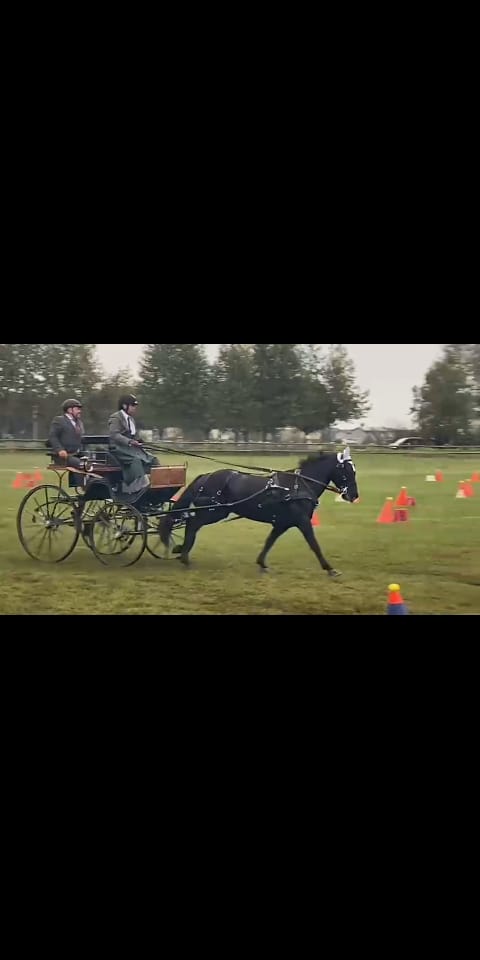 campionato italiano attacchi 2024