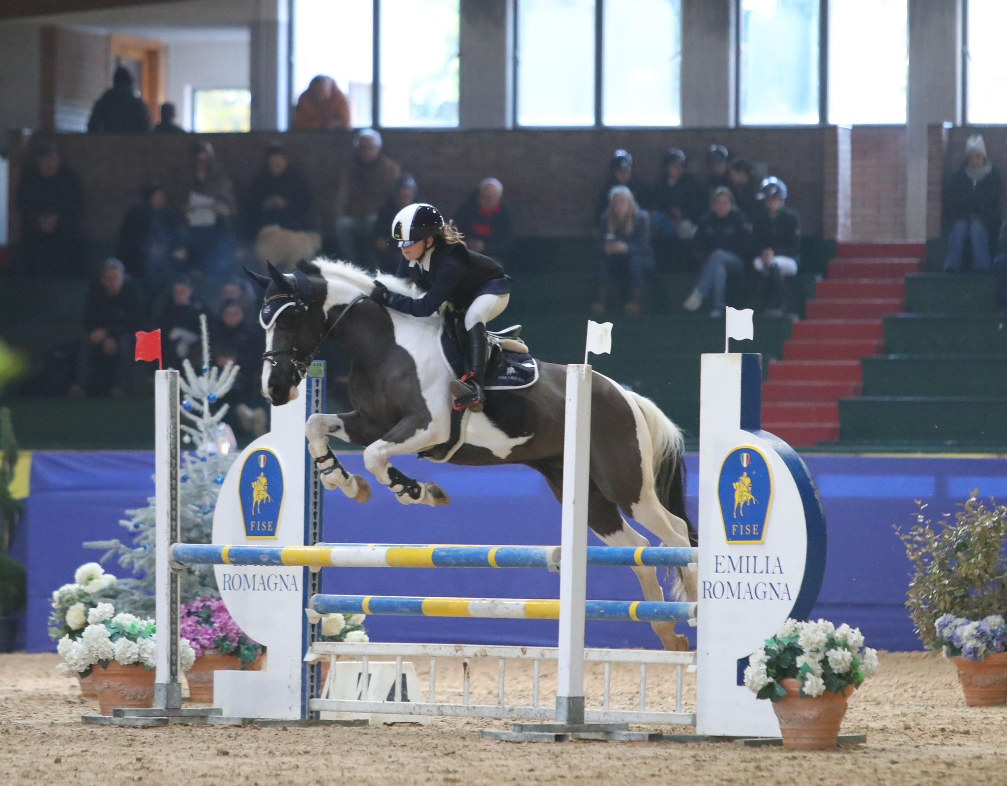 FOTO PONYLANDIA E COPPA ITALIA 2025
