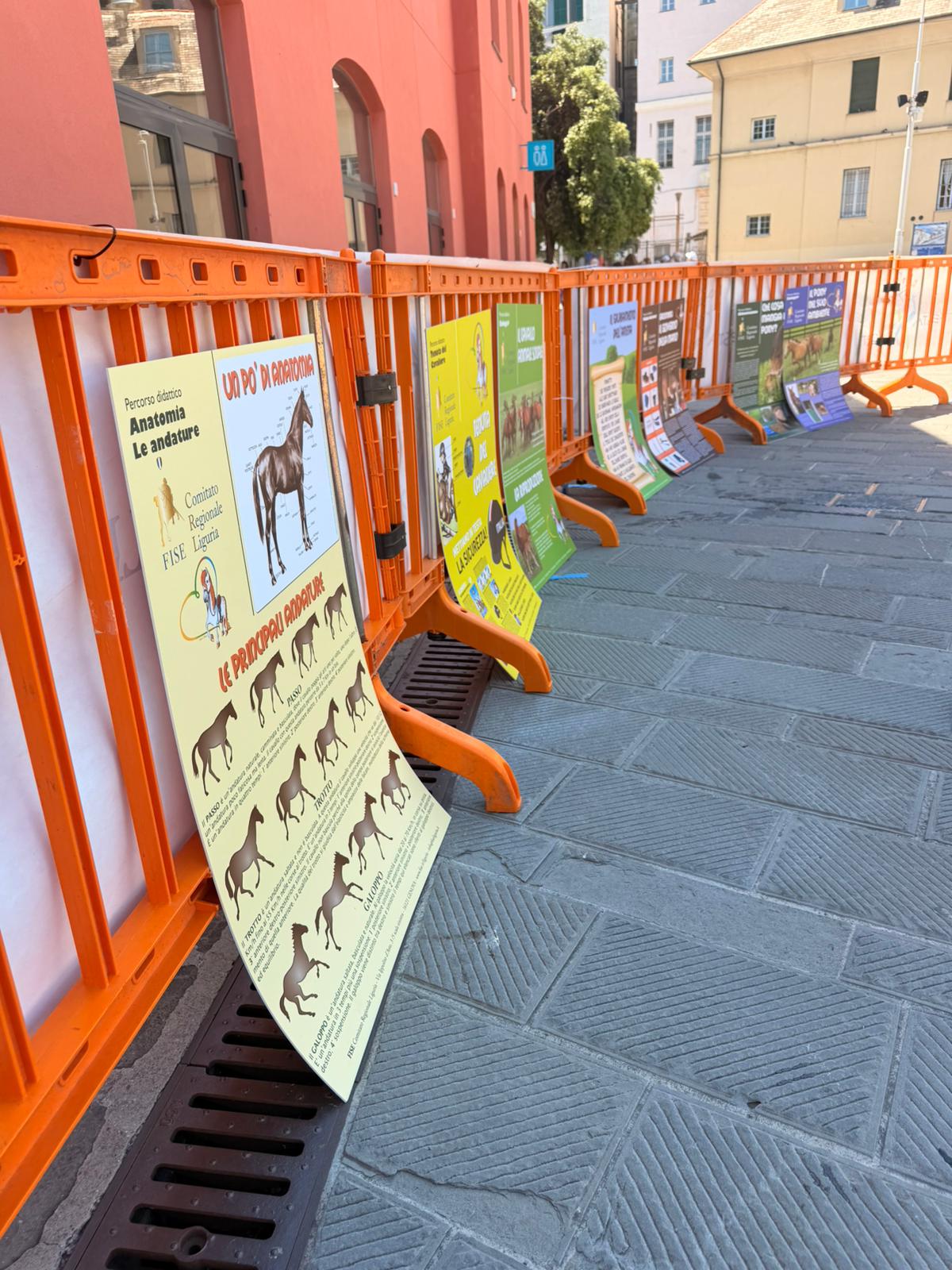 FESTA DELLO SPORT 2026