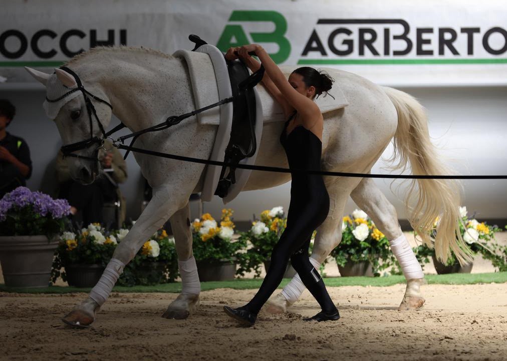 CAMPIONATI ITALIANI VOLTEGGIO 2026