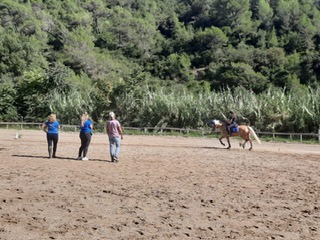 stage sul territorio dressage nervia settembre 2024