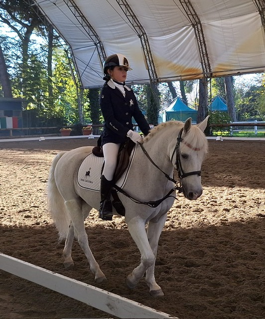 coppa delle regioni dressage 2024