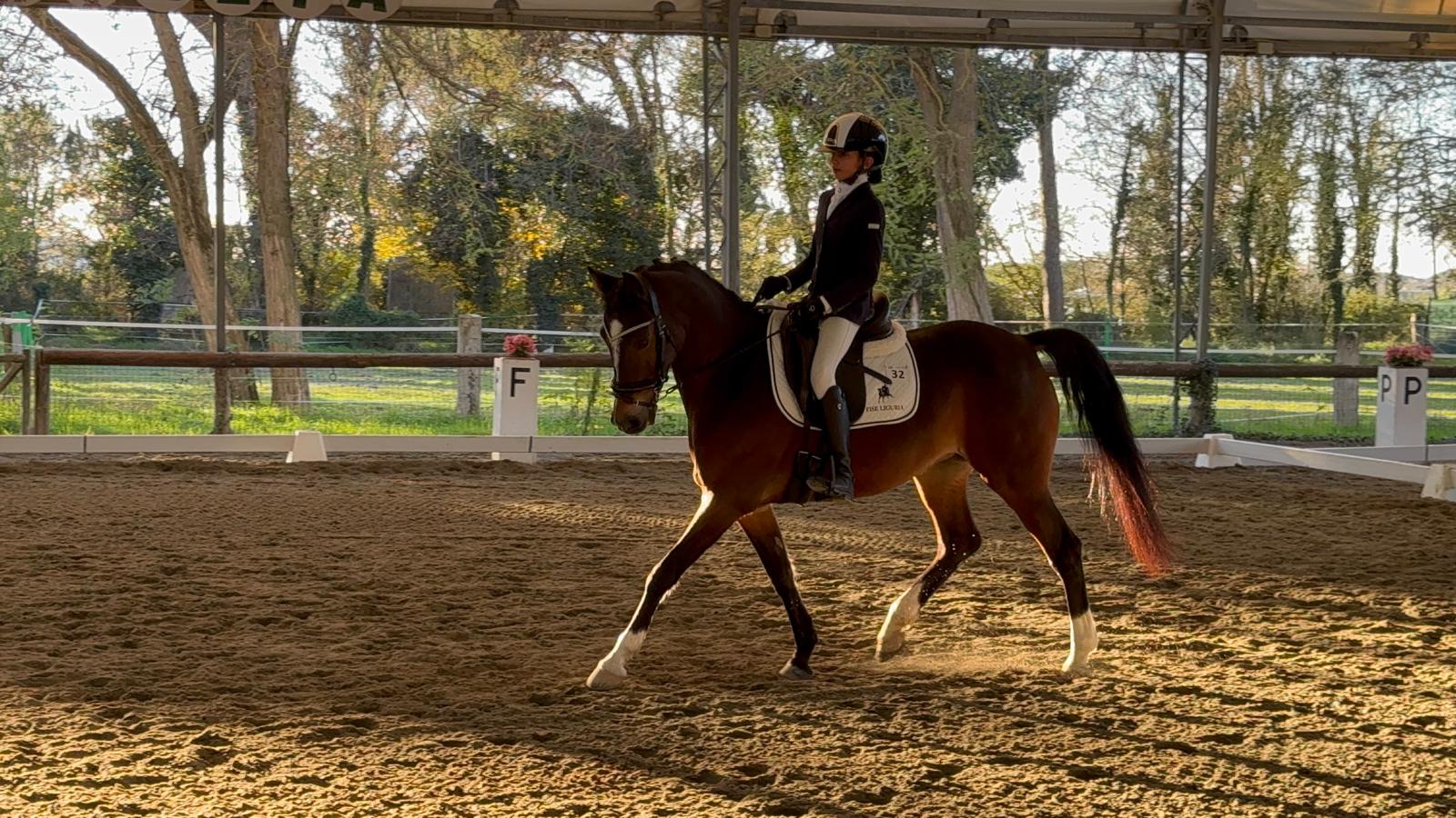 coppa delle regioni dressage 2024