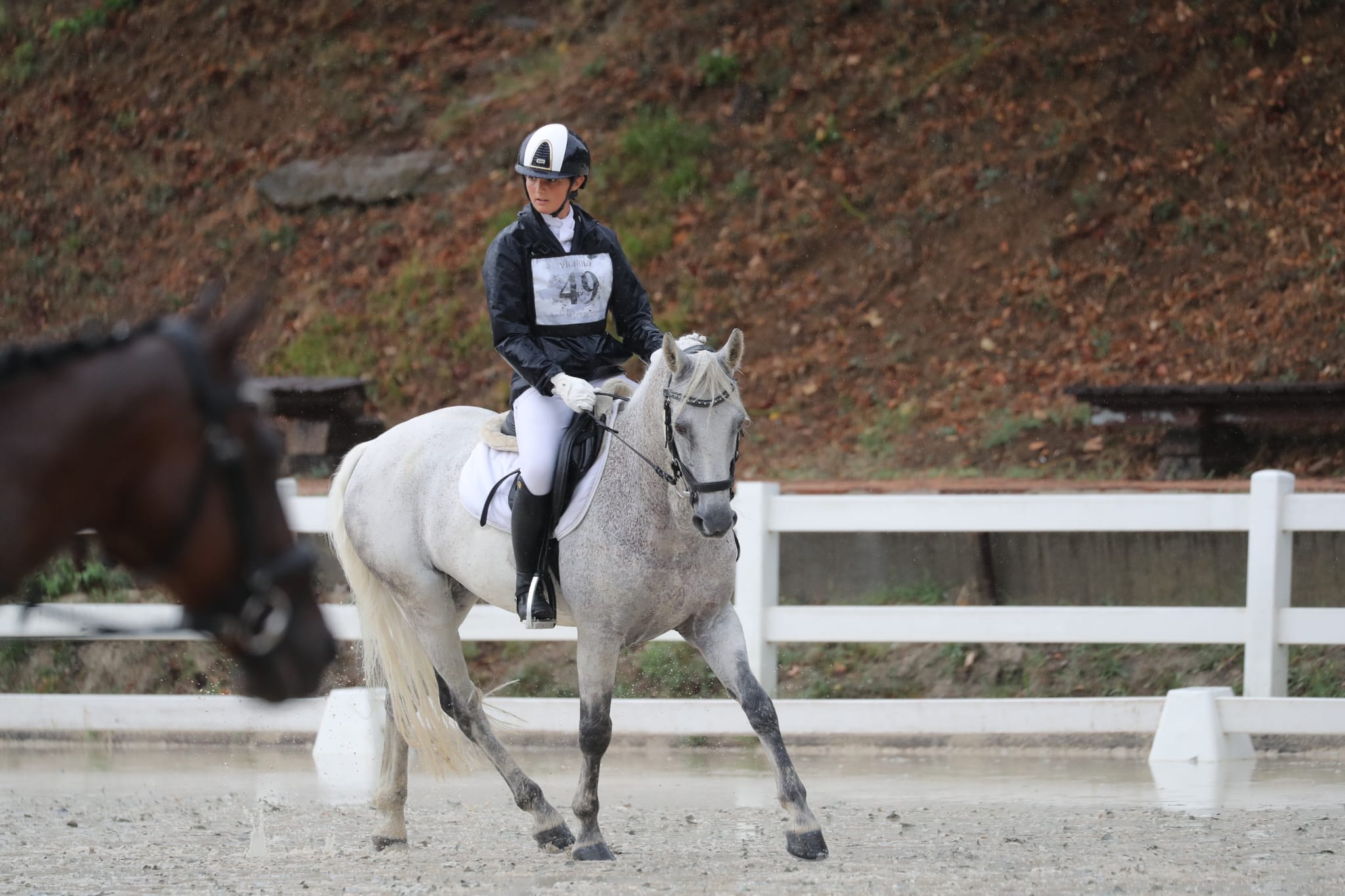 vignolo bronzo criterium assoluto pony cce 2024
