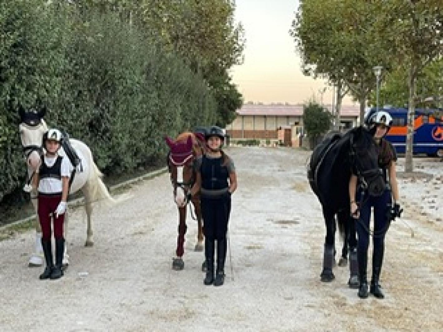 images/liguria/medium/COPERTINA_dressage.JPG