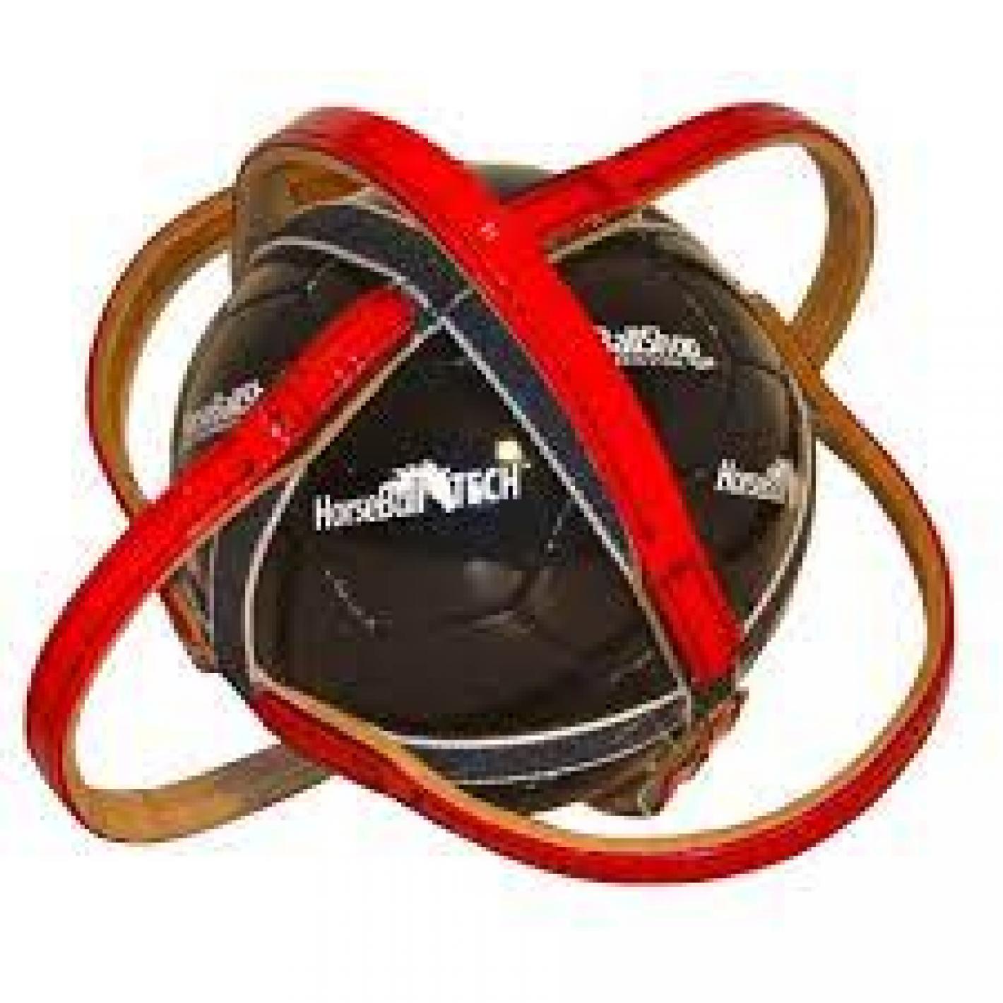 images/liguria/medium/horse_ball_palla_da.jpg