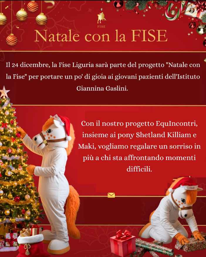 natale con la fise nuovo - locandina.jpg