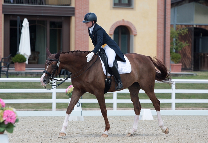 Dressage 8