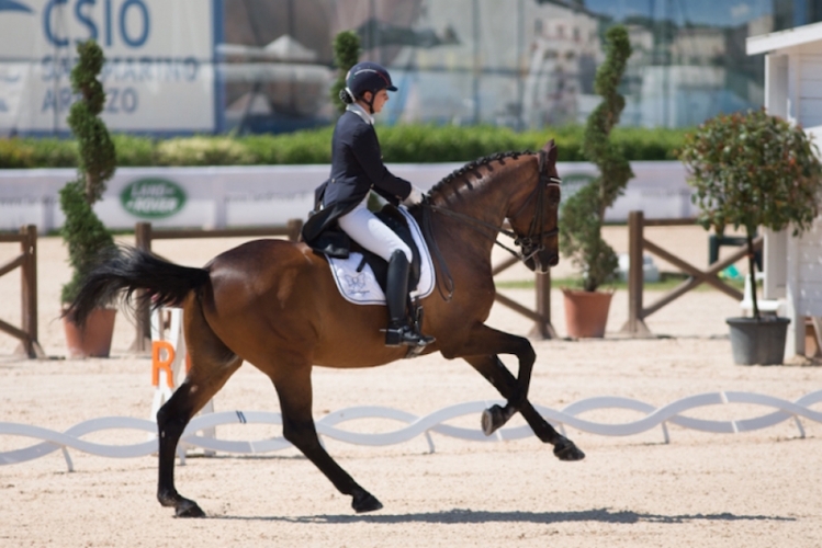 Dressage