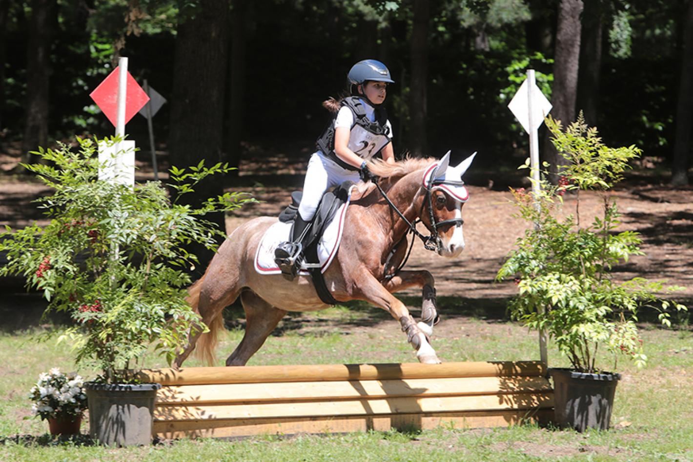 images/lombardia/News/Dressage/medium/Completo_4.JPG