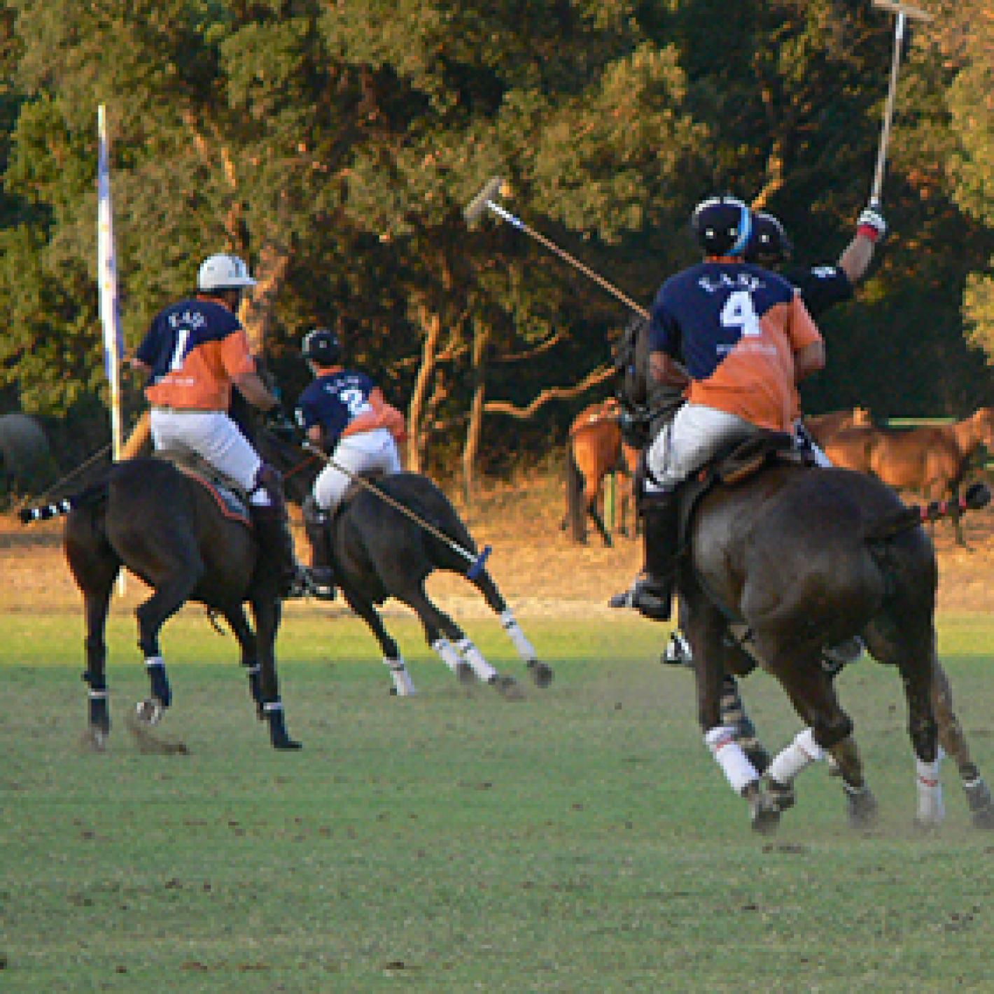 images/lombardia/News/Polo/medium/medium/generica-polo.jpg