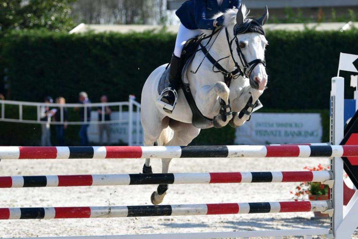images/lombardia/News/Pony/medium/medium/medium/medium/Pony_generica.jpeg