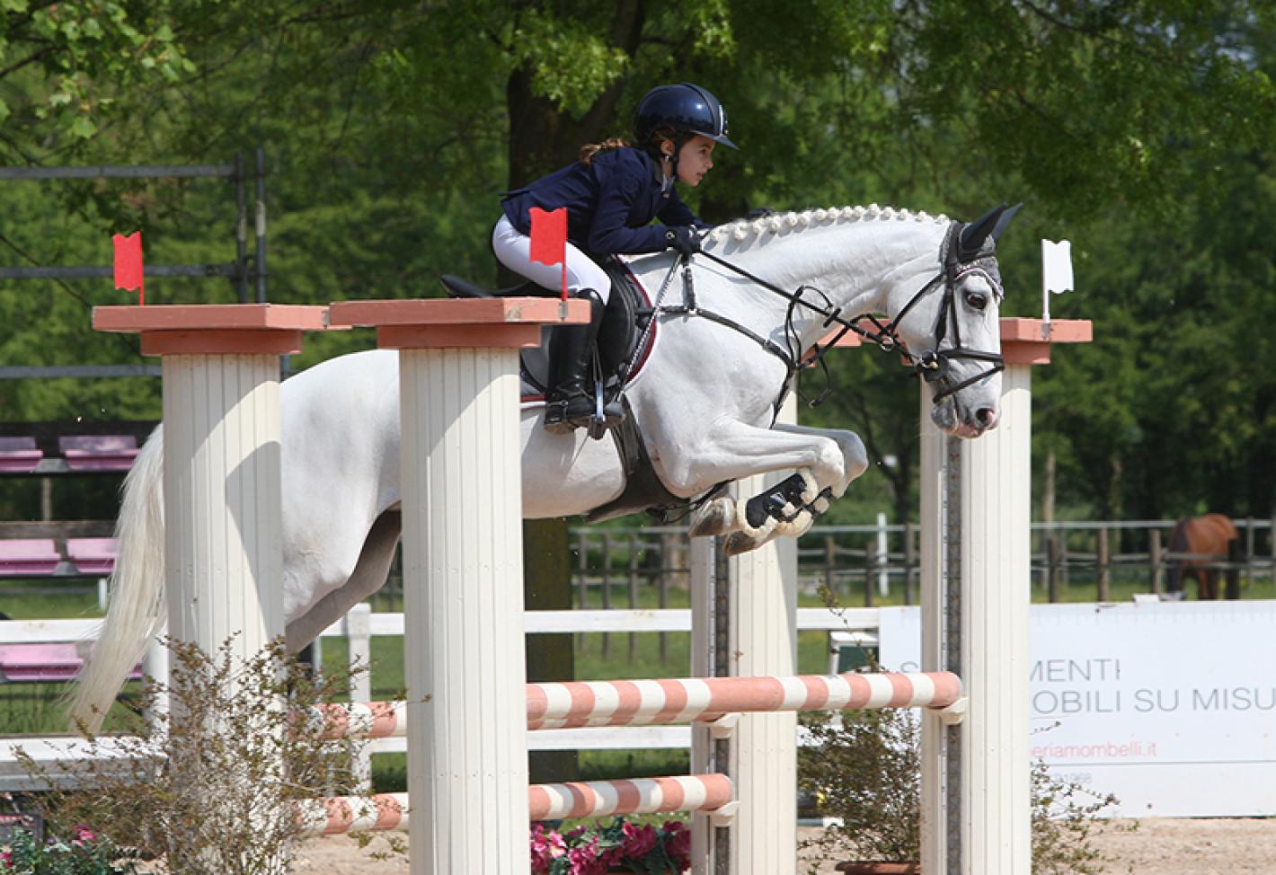 images/lombardia/News/Varie/medium/medium/Pony_1.JPG