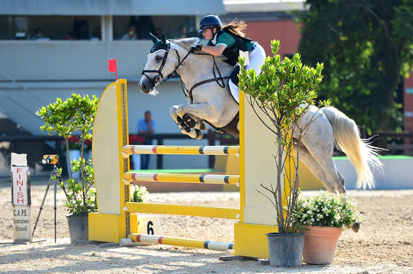 images/lombardia/News/Varie/medium/medium/Pony_7.jpg
