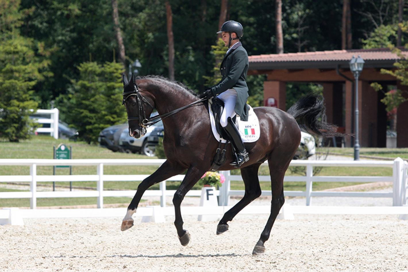 images/lombardia/News/Varie/medium/medium/medium/Dressage_3.JPG