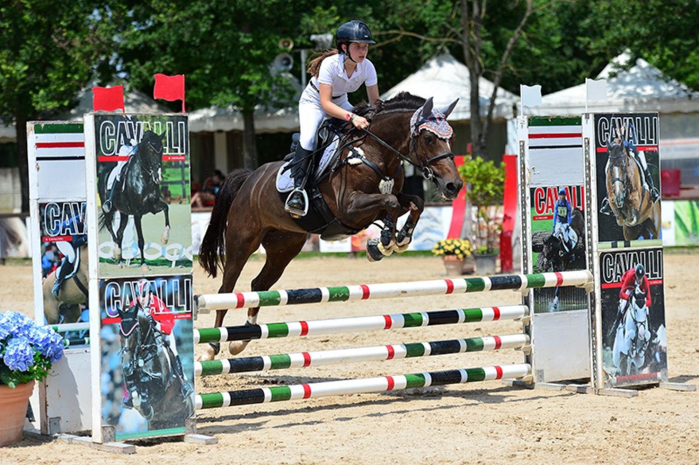 images/lombardia/News/Volteggio/medium/medium/Pony_6.jpg