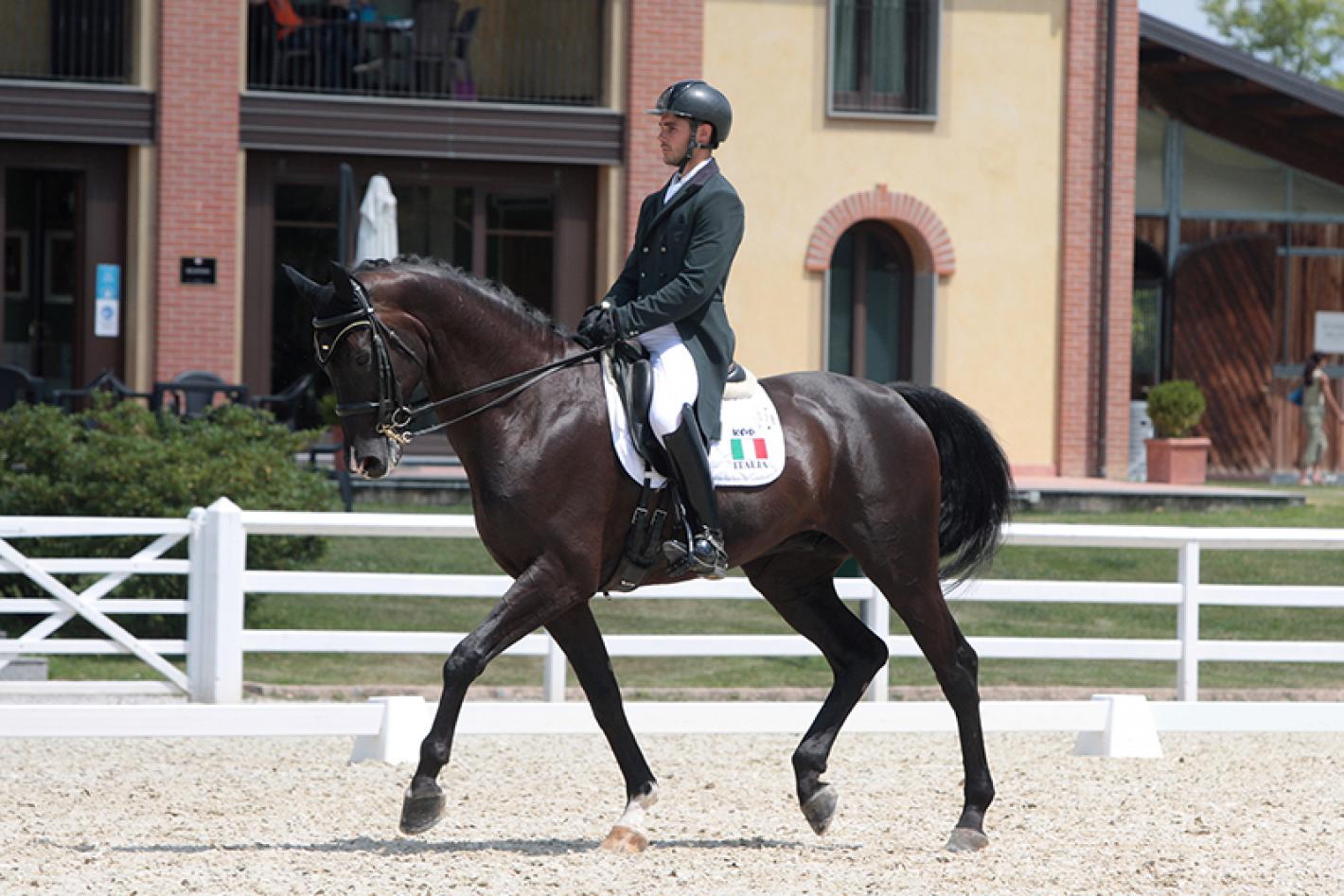 images/lombardia/medium/Dressage_1.JPG