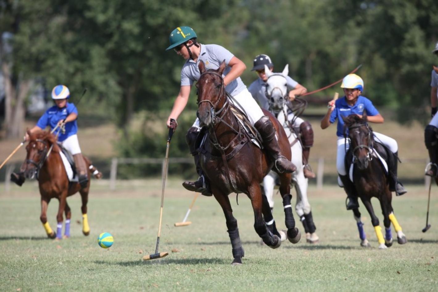 images/lombardia/medium/Polo_Pony_Ponyadi_Villanti.jpg