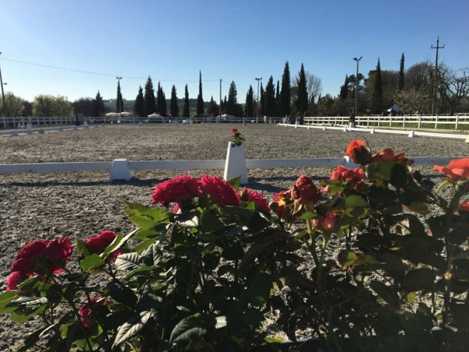 Prima Tappa Trofeo Must Dressage 2018