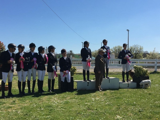 Prima Tappa Trofeo Must Dressage 2018 3