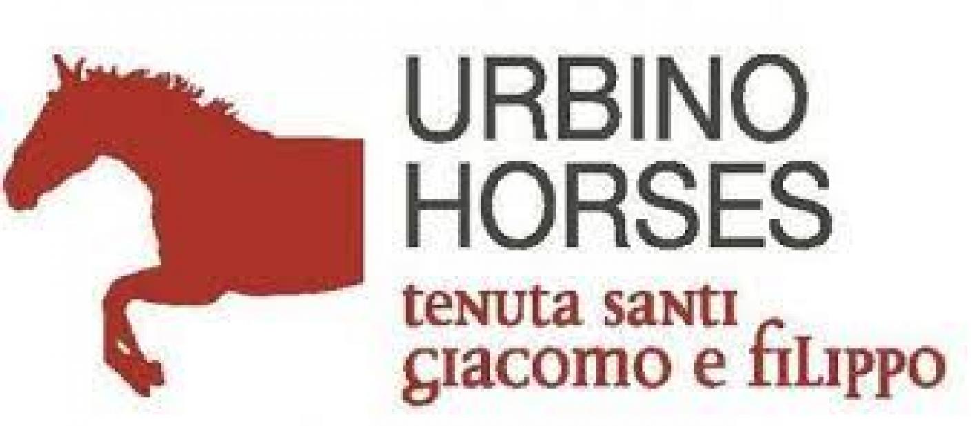 images/marche/Completo/Urbino_5-6_giugno_21/medium/logo_Urbino_Horses.jpg