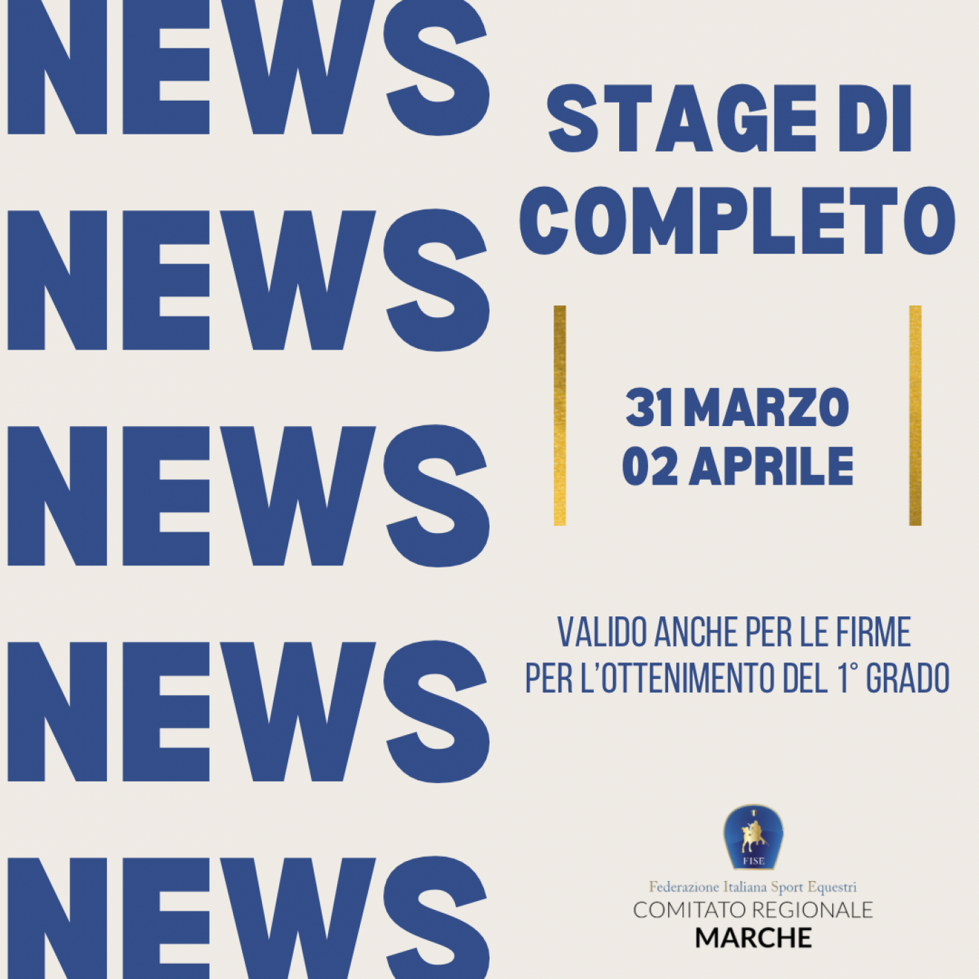 images/marche/Dressage/medium/Testo_del_paragrafo.png