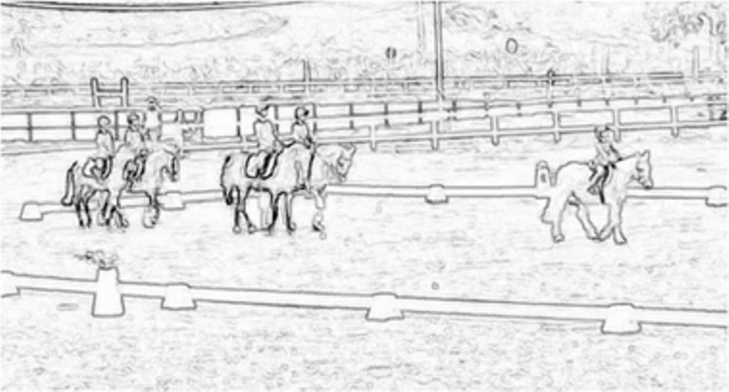 images/marche/Formazione/medium/Il_Progetto_Scuole_Federali_-_Incontri_14_e_21_dicembre_2020.jpg