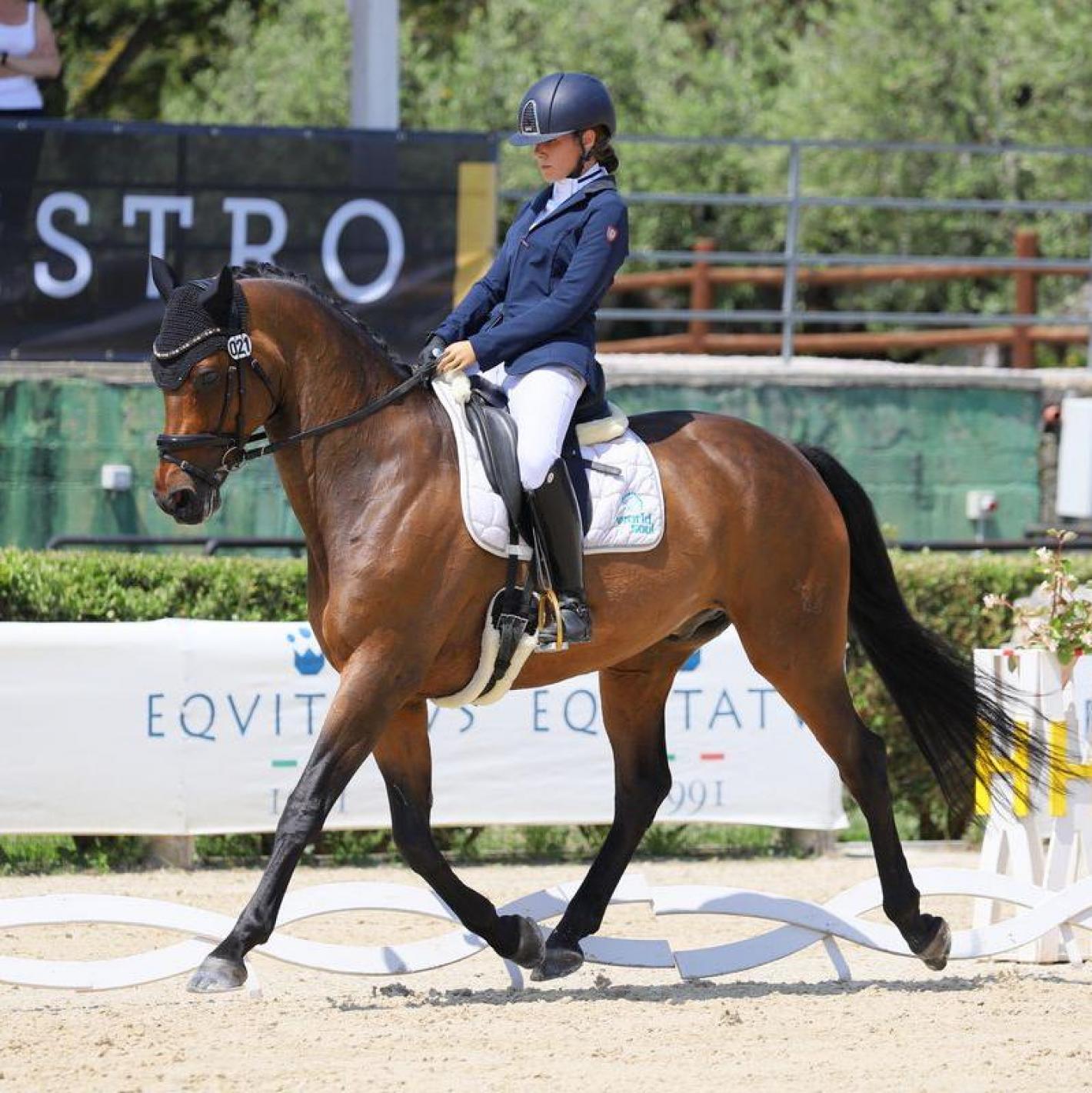 images/marche/Paralimpico-_Sport_integrati/medium/F._Sileoni_1.jpg