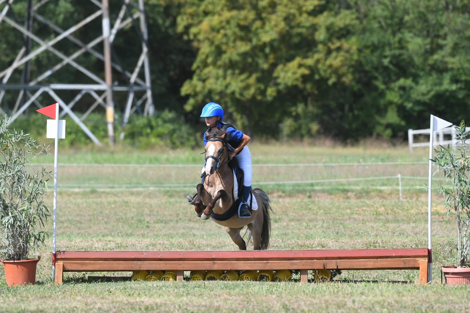 Country Jumping chiara Basili 4posto