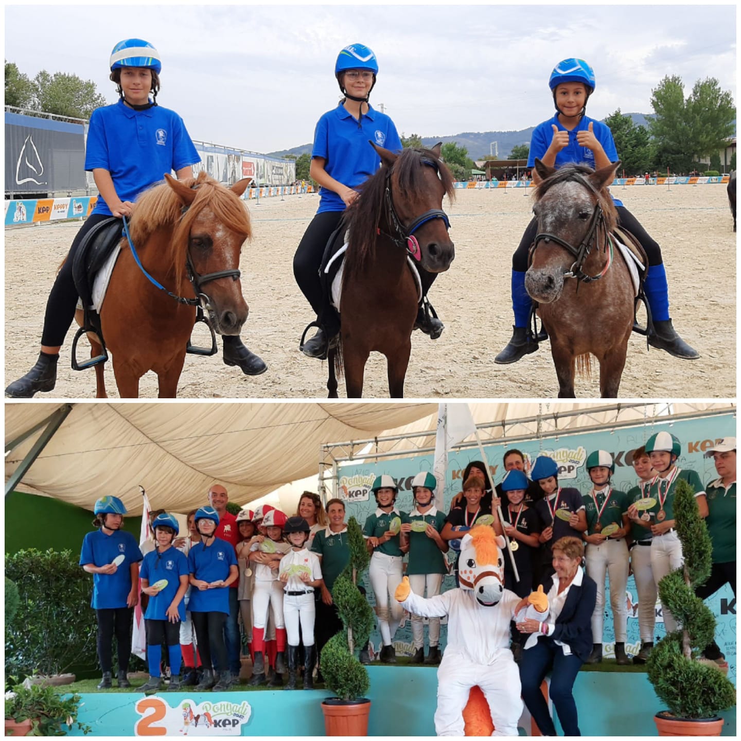 Pony games B3