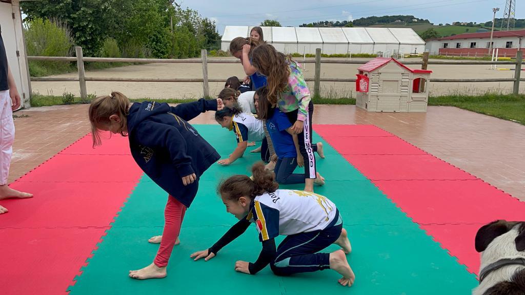 13177471 03cd 4a07 85b7 5faf8c7664ab