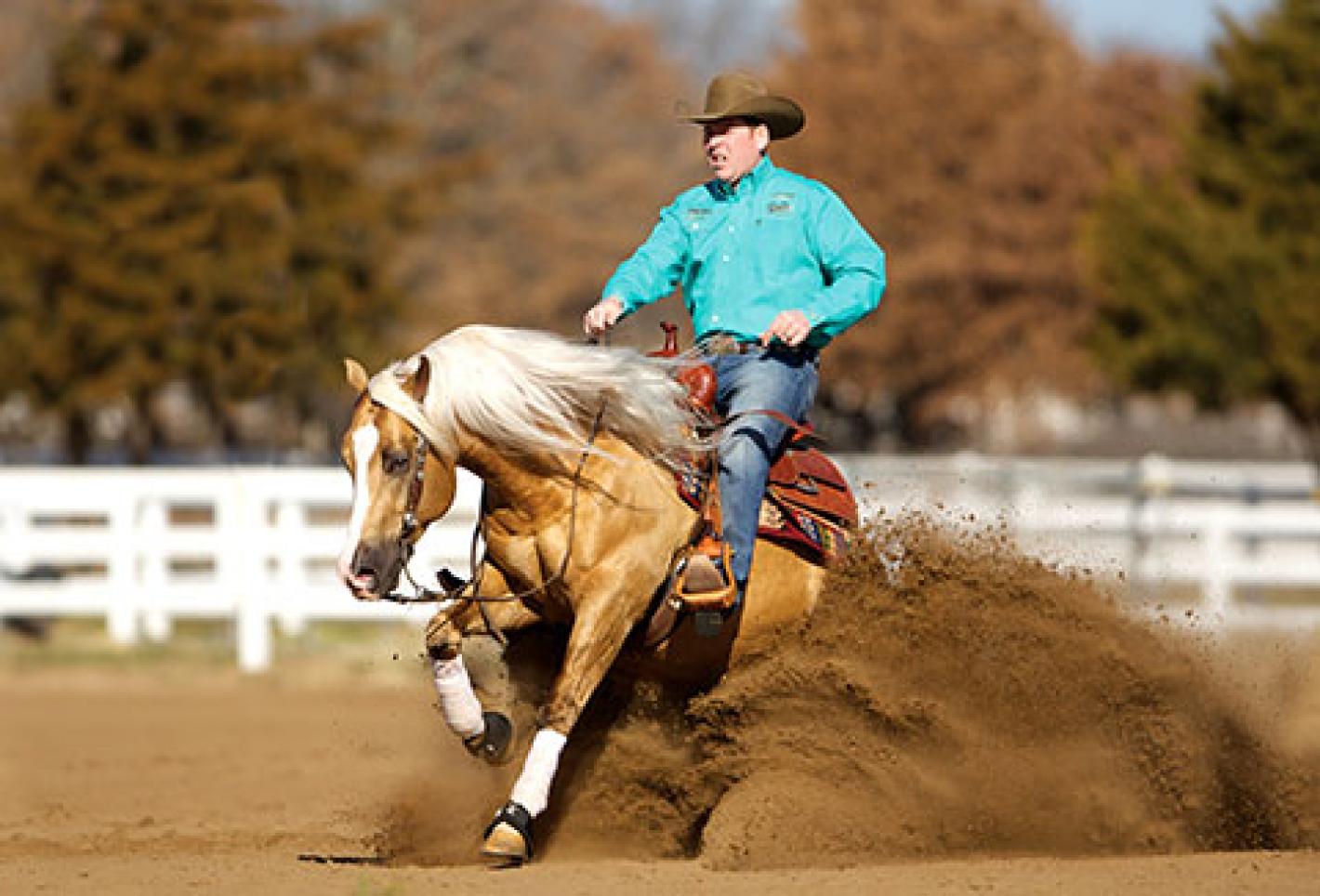 images/marche/Reining/medium/reining-Generica_4jpg.jpg