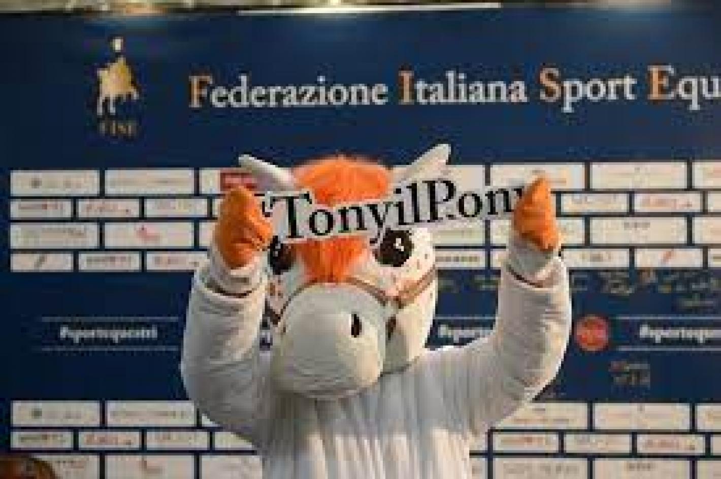 images/marche/SITO/medium/Tony_il_Pony.jpg
