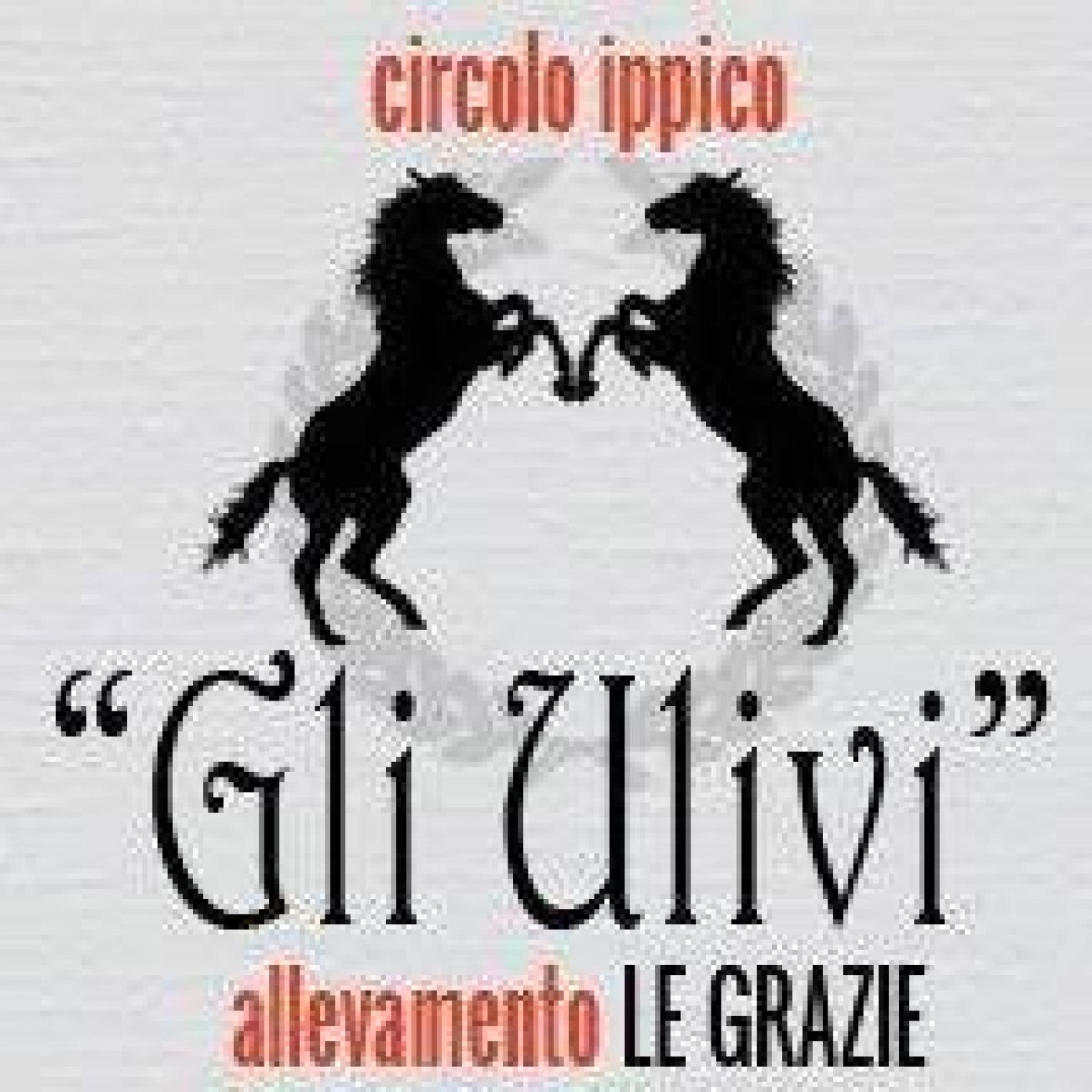 images/marche/SITO/medium/logo_Gli_Ulivi_C.jpg