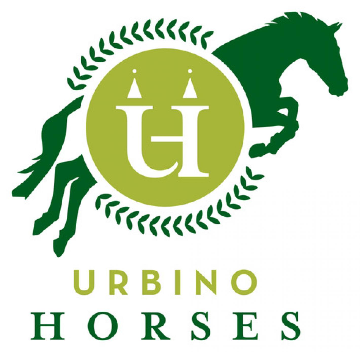 images/marche/SITO/medium/urbino-horses-verticale-NEW.jpeg