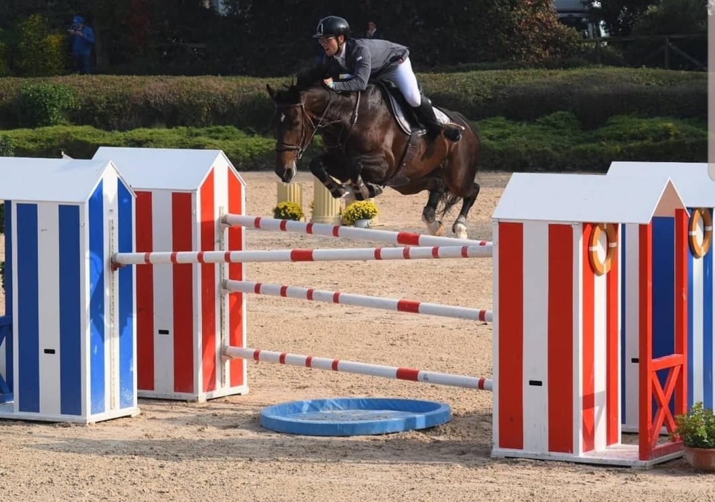 images/marche/Salto_Ostacoli/medium/Morici-Flicka.jpg