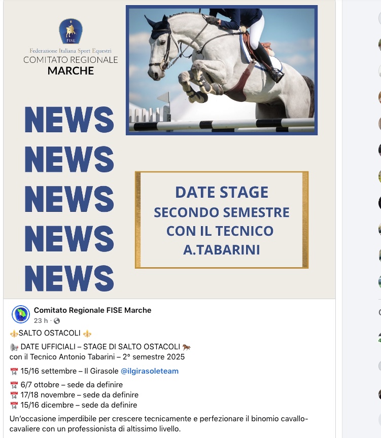 Stage Tabarini .jpeg