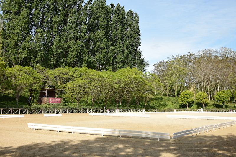 DSC 4899