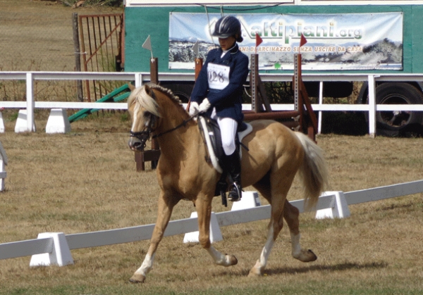 Dressage: Campionati regionali 2012 il 14 ottobre all’Area Teaterno
