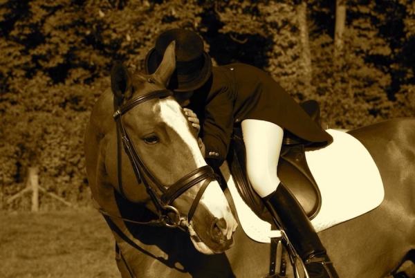 Dressage: Rettangolo 3 stelle a Sommacampagna