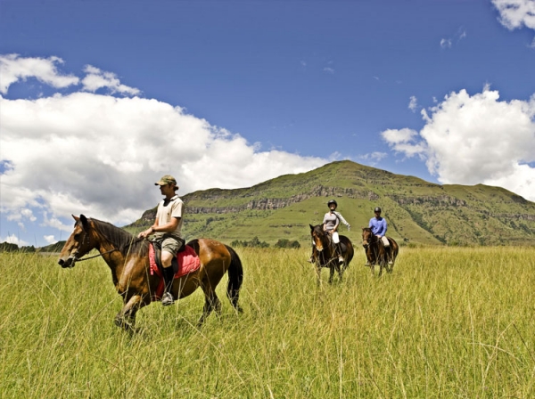 ENDURANCE: I CRITERI DI SELEZIONE PER IL SUDAFRICA