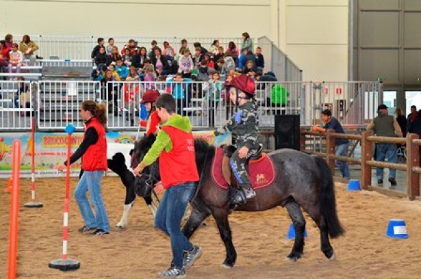 FIERACAVALLI: Grande affluenza per il battesimo del pony