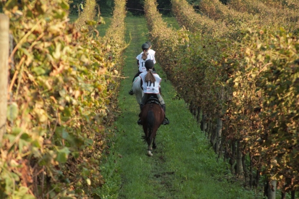 ENDURANCE: Campionati Italiani pony. Ecco i risultati